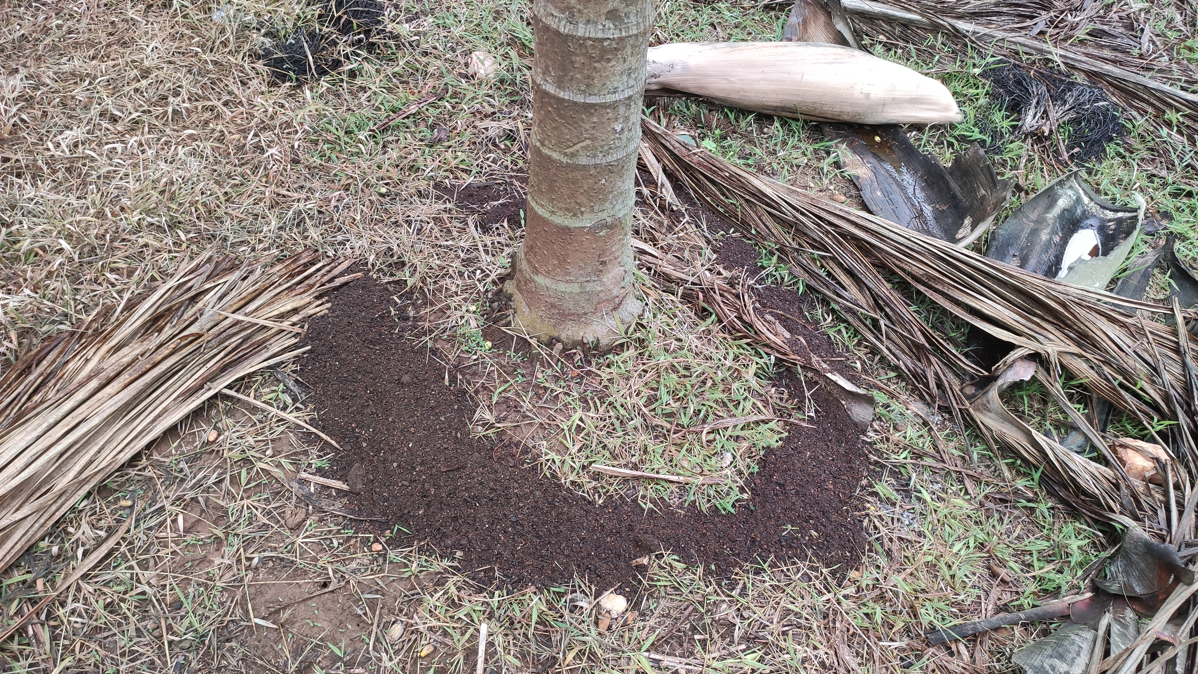 Method of manure application